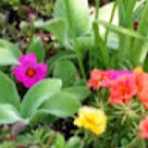 Meet your Posher, Talia